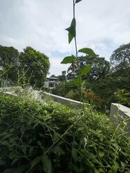 Kheam Hock Road (D11), Semi-Detached #582438141